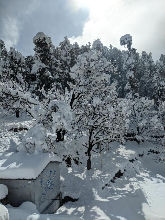 Namastay Himalayas, Kanatal Exteriér fotografie