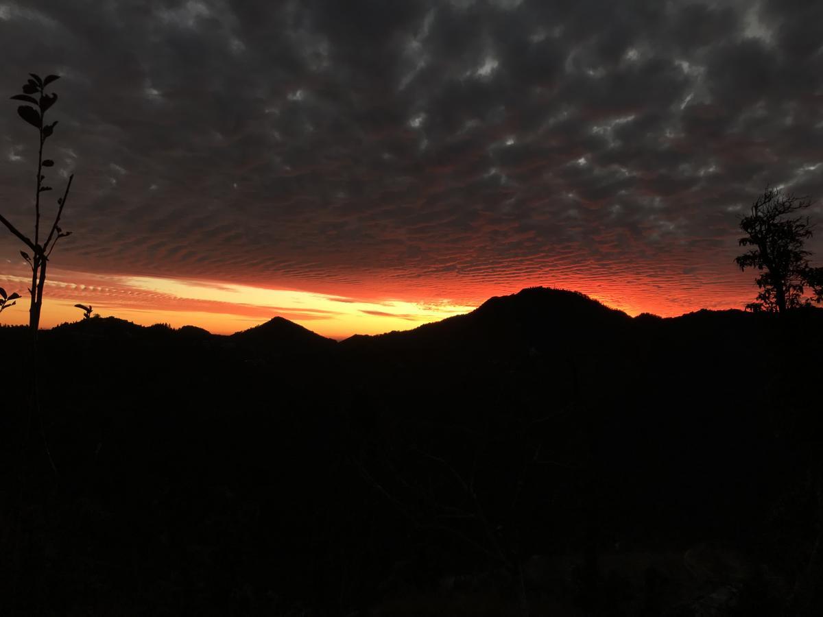 Namastay Himalayas, Kanatal Exteriér fotografie
